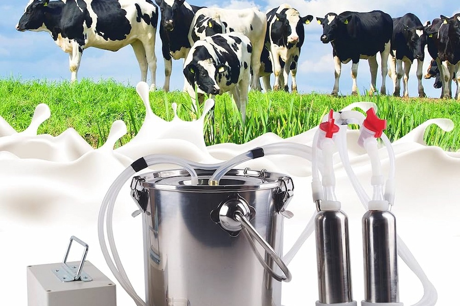 Phụ kiện máy vắt sữa bò Silicone - Giải pháp OEM