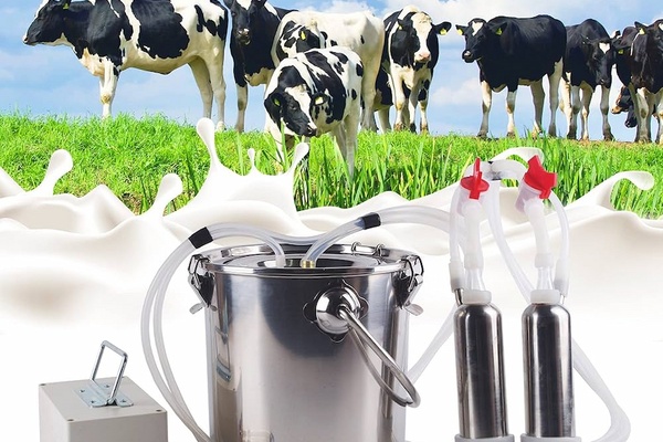 Phụ kiện máy vắt sữa bò Silicone - Giải pháp OEM