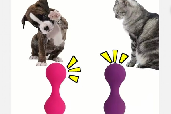 Xưởng sản xuất đồ cho thú cưng công ty OEM chuẩn